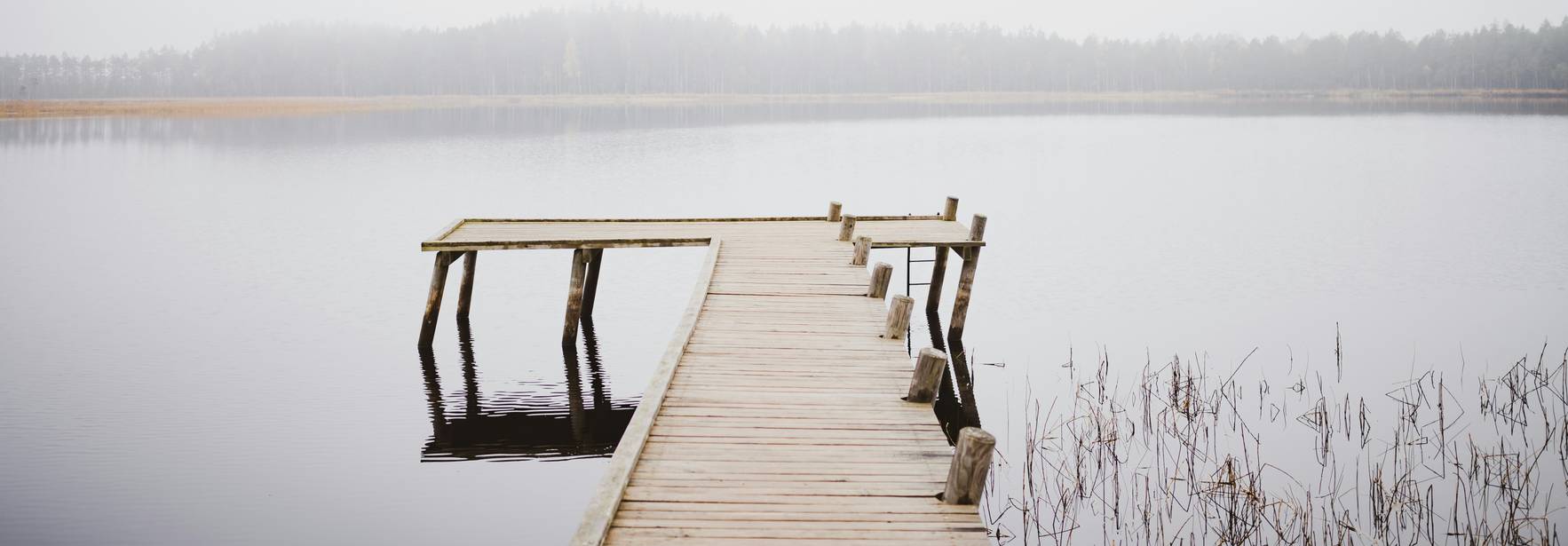 Un muelle de madera se extiende sobre un lago en un día brumoso.