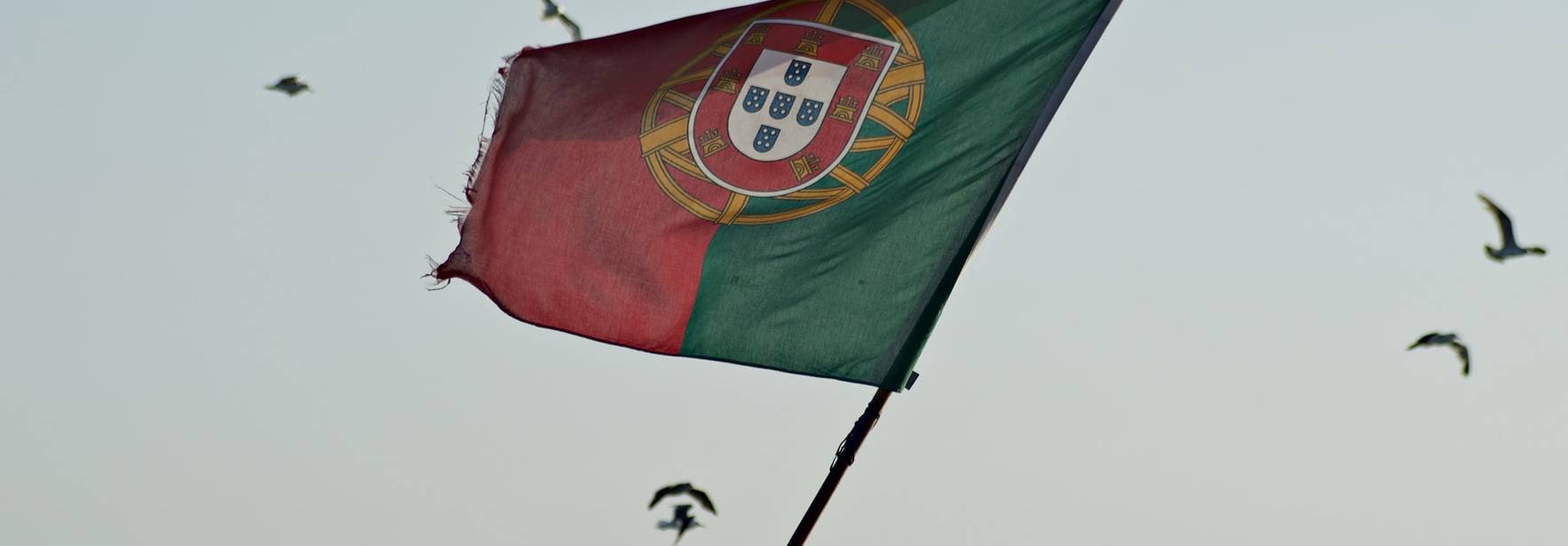 2019: abogados en Portugal, cifras