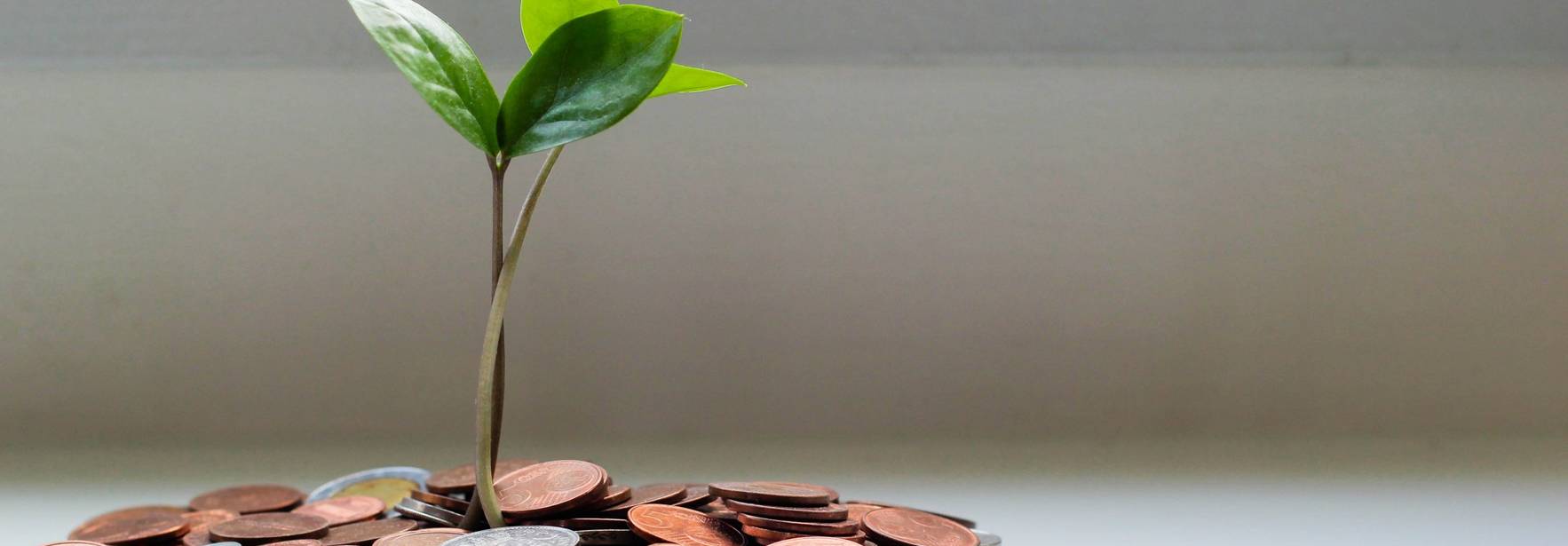 Aprobación del cuarto tramo de la línea de avales ICO