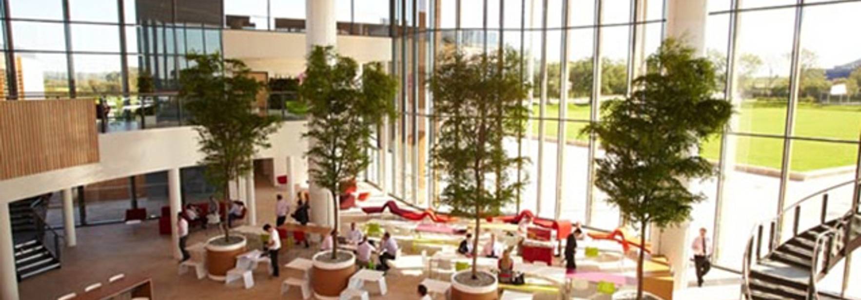 Coworking and how to protect the creations in this type of collaborative environments