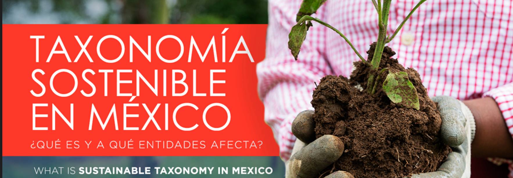 ¿Qué es la Taxonomía Sostenible en México y a qué entidades afectará?