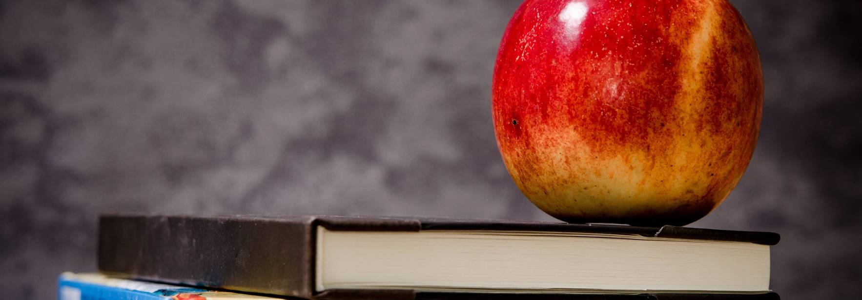 México: ¿Debo pagar colegiaturas si no hay clases?