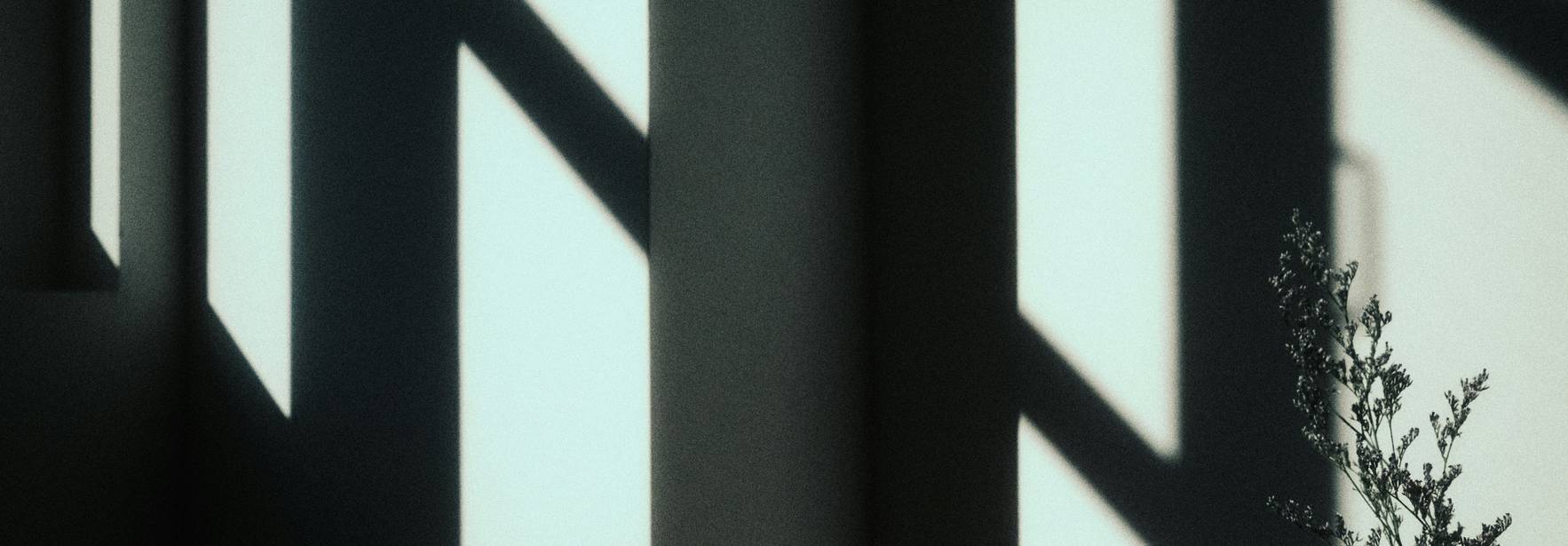 La imagen muestra sombras proyectadas en una pared por la luz que entra a través de una ventana, con una planta en la esquina.