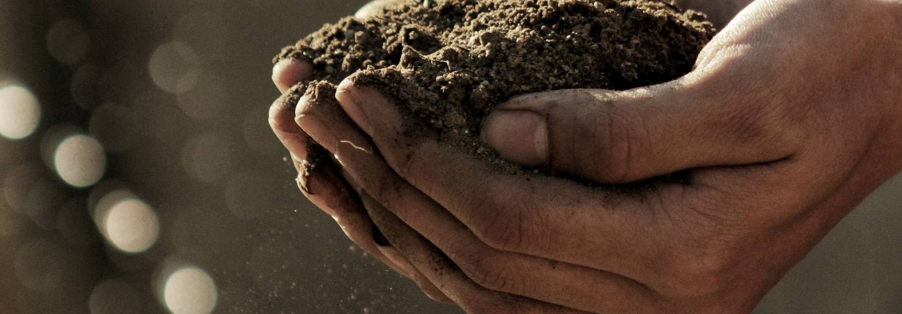International challenges for environment- World Environment Day