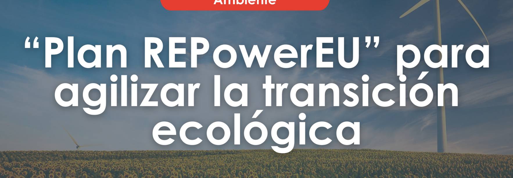 Informe - “Plan REPowerEU” para agilizar la transición ecológica