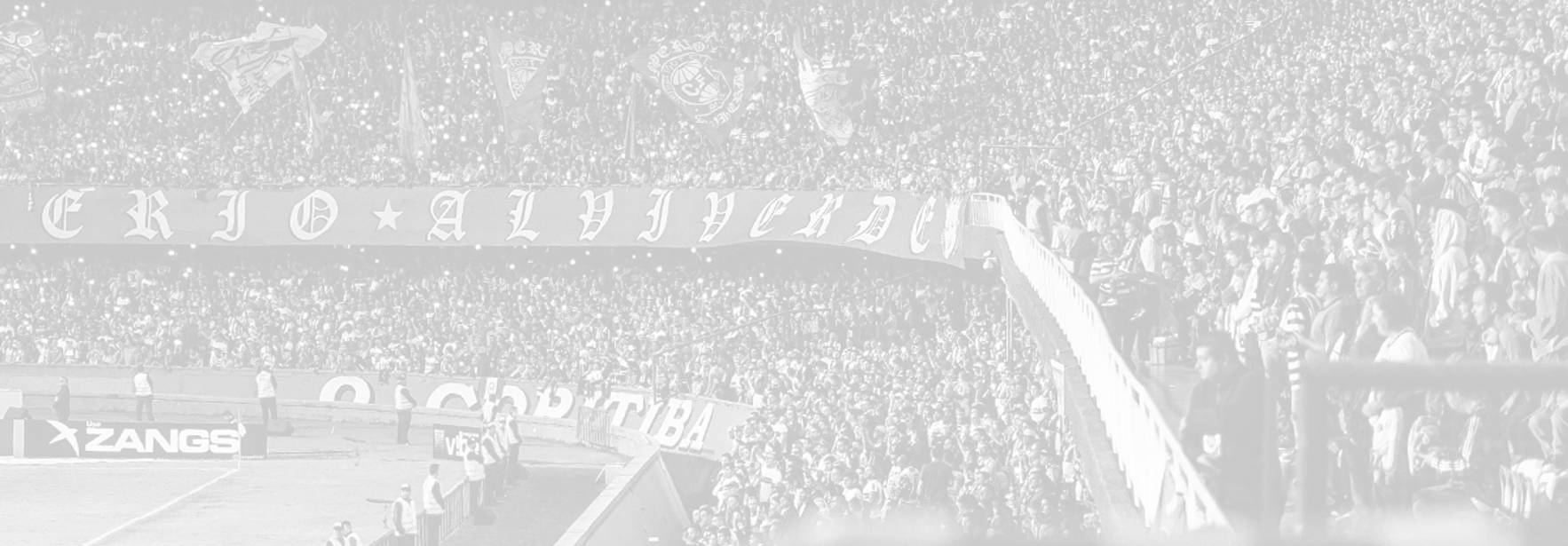 Un estadio lleno de aficionados animando a su equipo con banderas y pancartas.