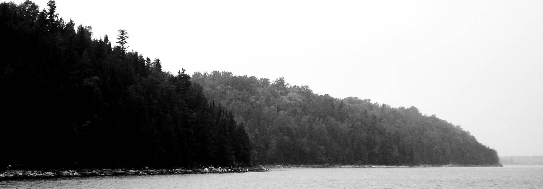Una costa arbolada se asoma sobre un lago en blanco y negro.