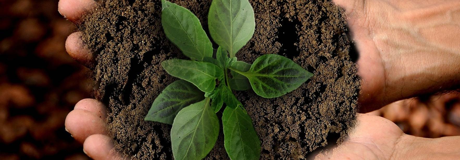 El empoderamiento a los consumidores para la transición ecológica y luchar contra el greenwashing