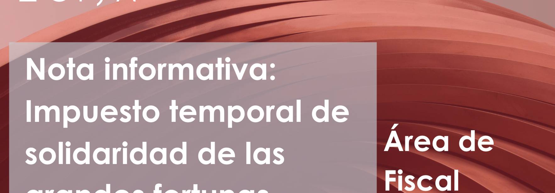 Impuesto temporal de solidaridad de las grandes fortunas