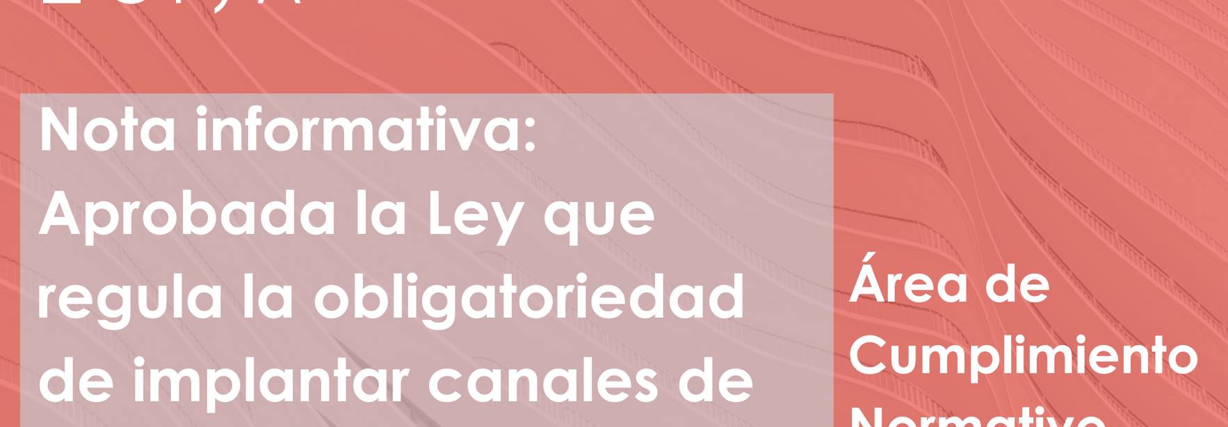 Aprobada la Ley que regula la obligatoriedad de implantar canales de denuncia