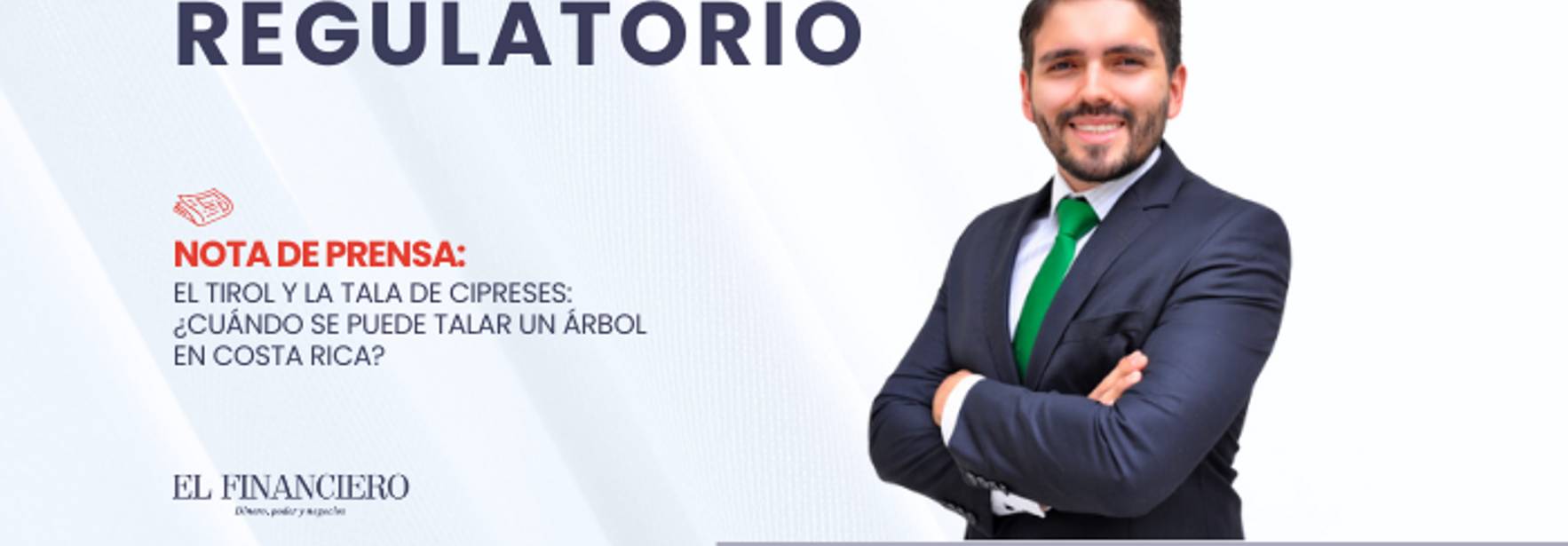 El Tirol y la tala de cipreses: ¿cuándo se puede talar un árbol en Costa Rica?