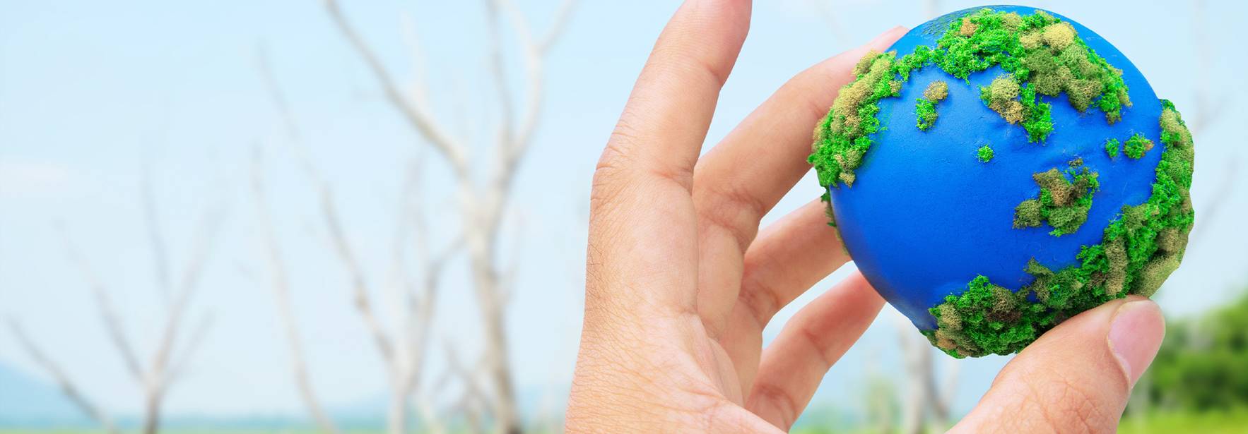 El ABC de la Evaluación del Impacto Ambiental