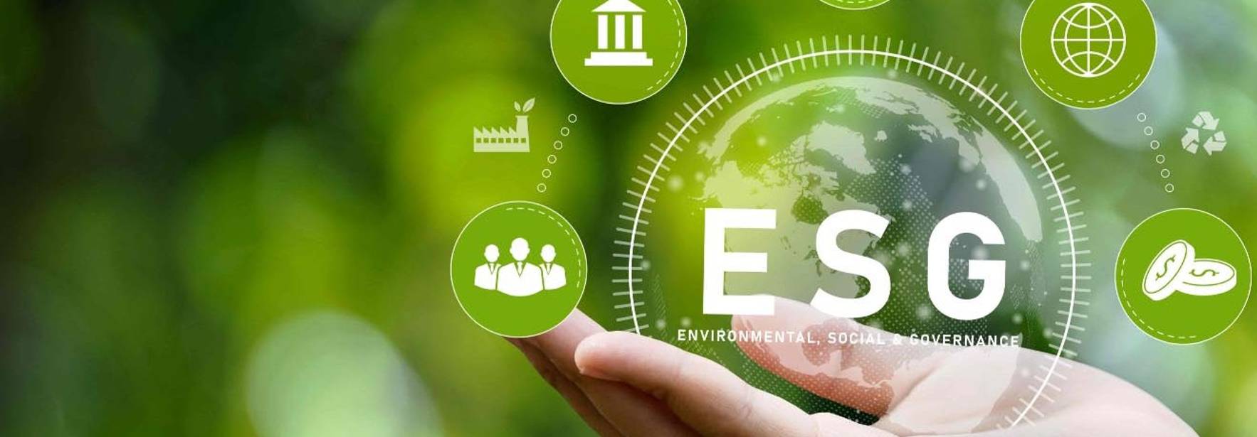 Automercado dejará de ofrecer gratis las bolsas plásticas para empaque