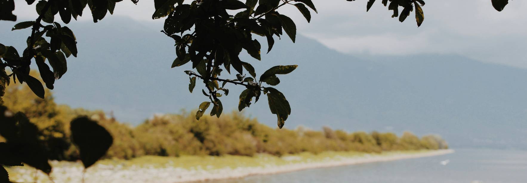 Una tranquila escena de un lago rodeado de vegetación con una pequeña embarcación en el agua.