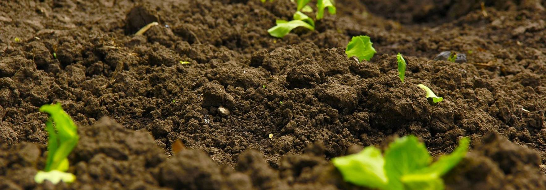 Sobre la expropiación agraria