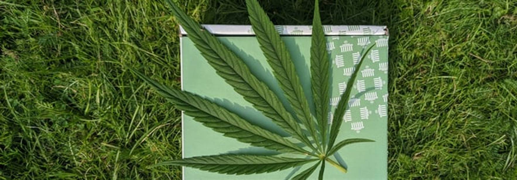 Costa Rica: Cannabis, ¿marca registrada?