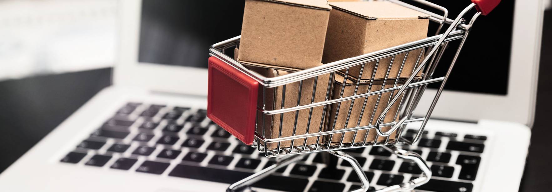 Vulnerabilidad del Consumidor en el Marco de la Era Digital