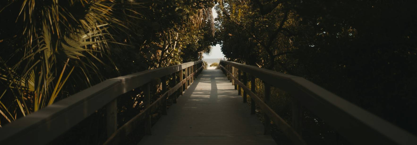 Un sendero de madera rodeado de vegetación que conduce hacia la luz al final.