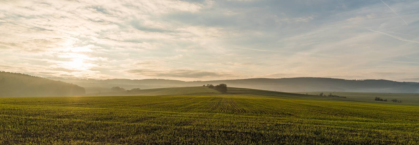 Colombia: Retos para el 2022 en materia de derecho agrario