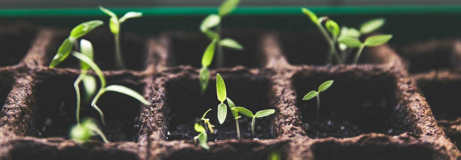 Los sistemas de responsabilidad ampliada del productor y responsabilidad ambiental