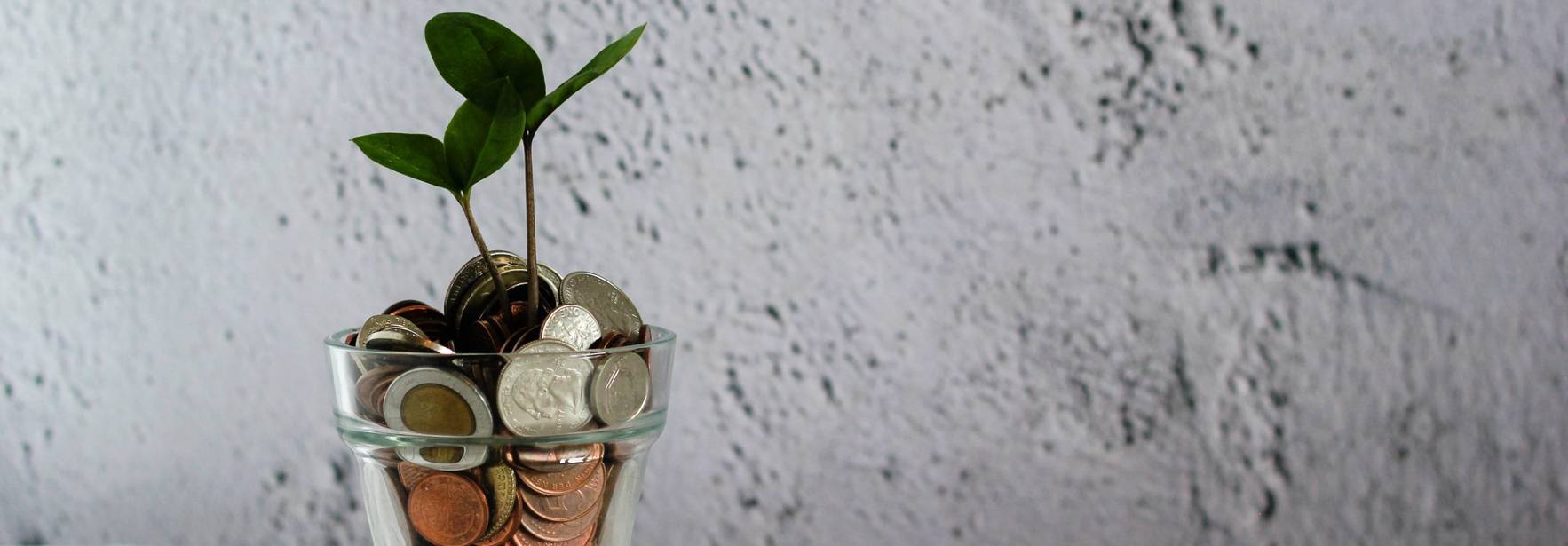 El gobierno aprueba el presupuesto de 2021 para las principales líneas de ENISA
