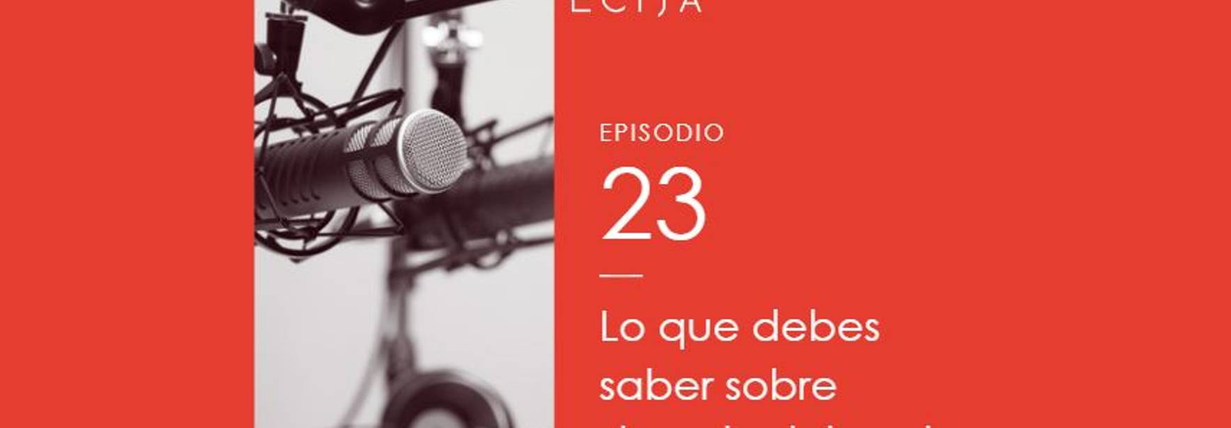 Podcast: Lo que debes saber sobre el Derecho Laboral Puertorriqueño y Estadounidense: Guía Básica para Empresarios Dominicanos