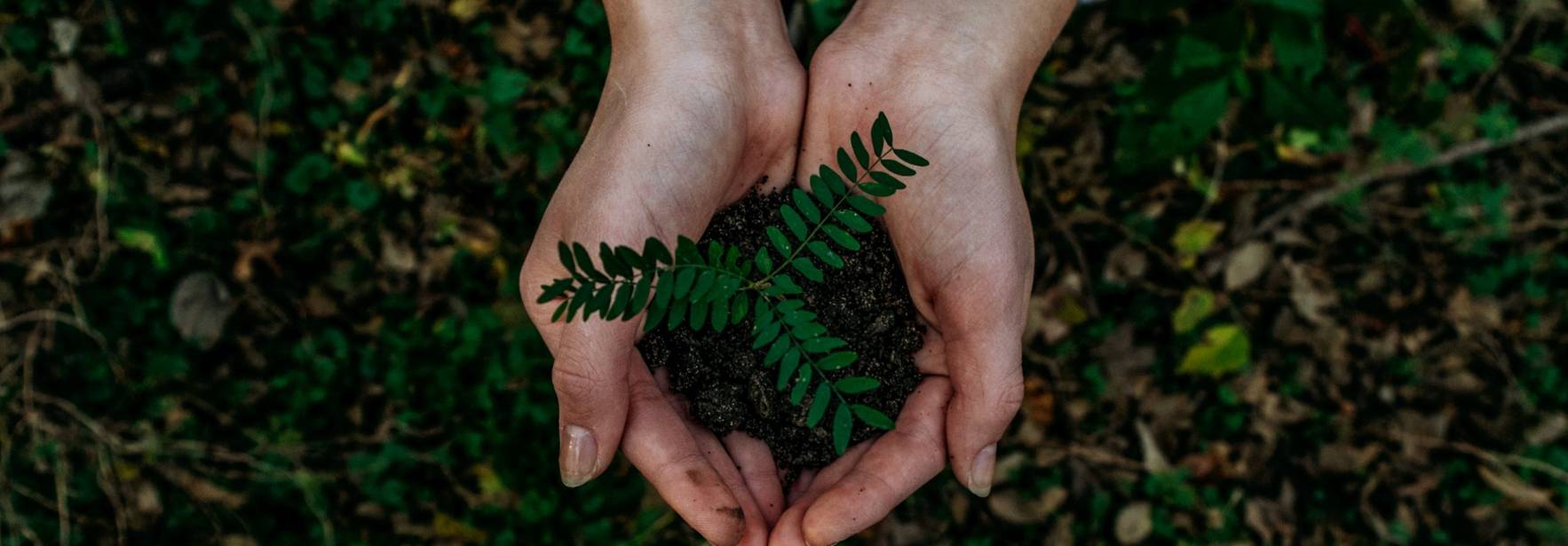 La ONU declara que tener un medio ambiente limpio y saludable es un derecho humano