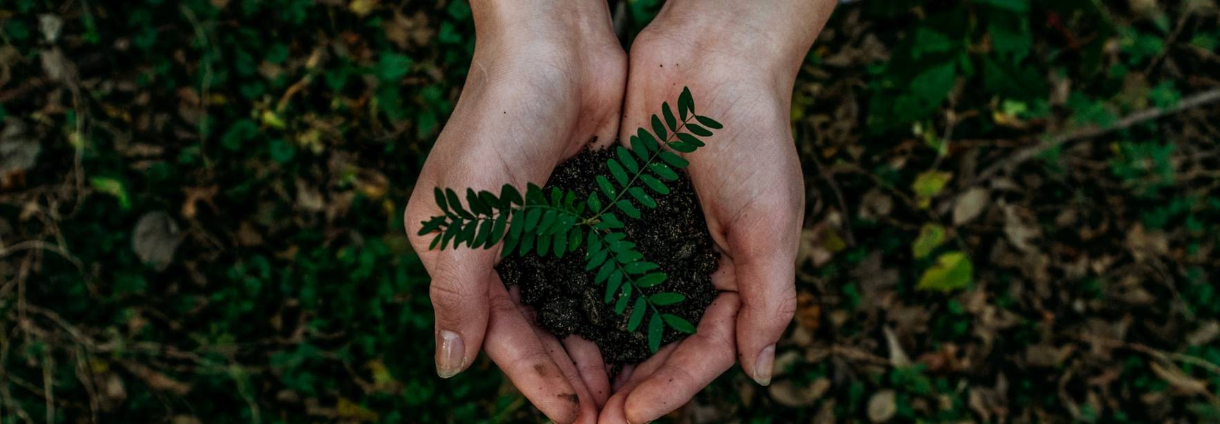 Expansión - Qué pasa si España no transpone a tiempo una directiva medioambiental