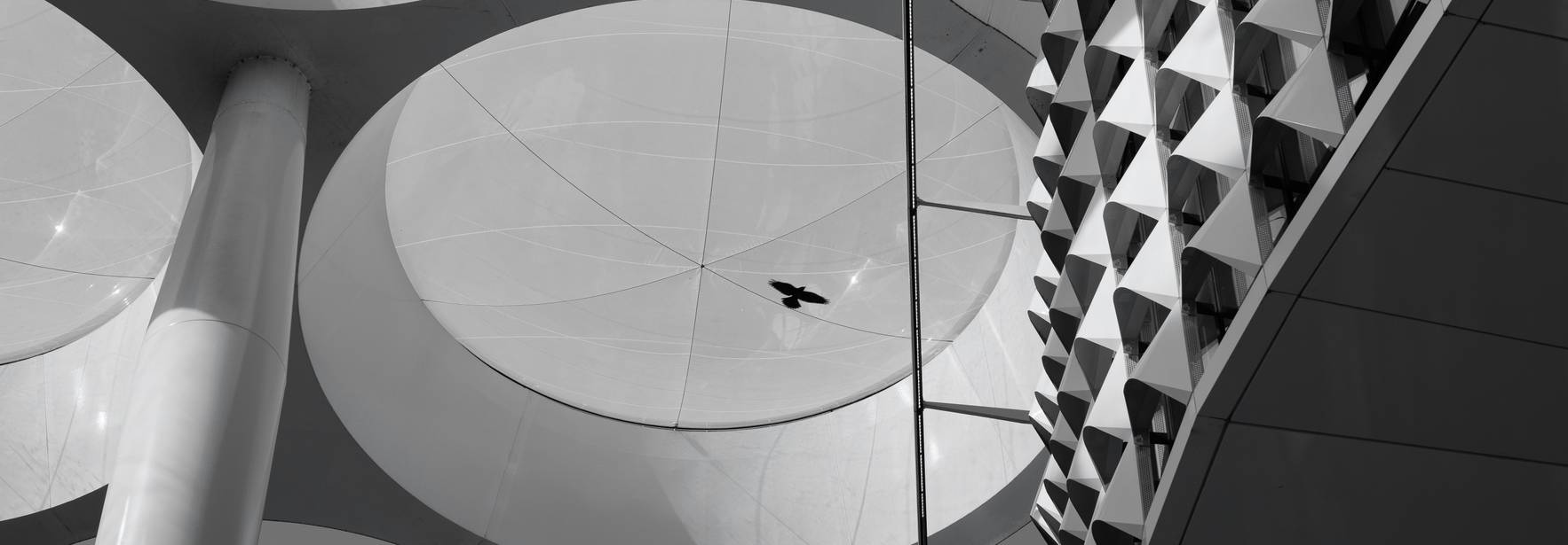 Una vista artística de una estructura arquitectónica moderna con un ave volando en el fondo.