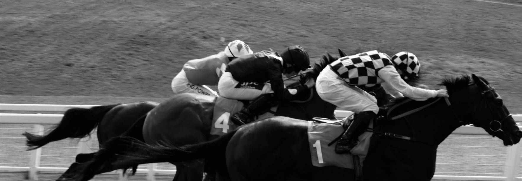 Un grupo de caballos compitiendo en una carrera.