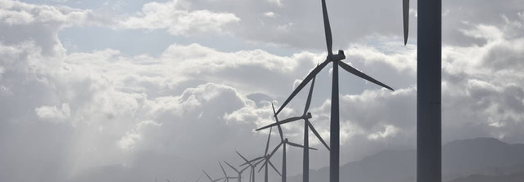 Renewable energy diversifying Middle East’s economy