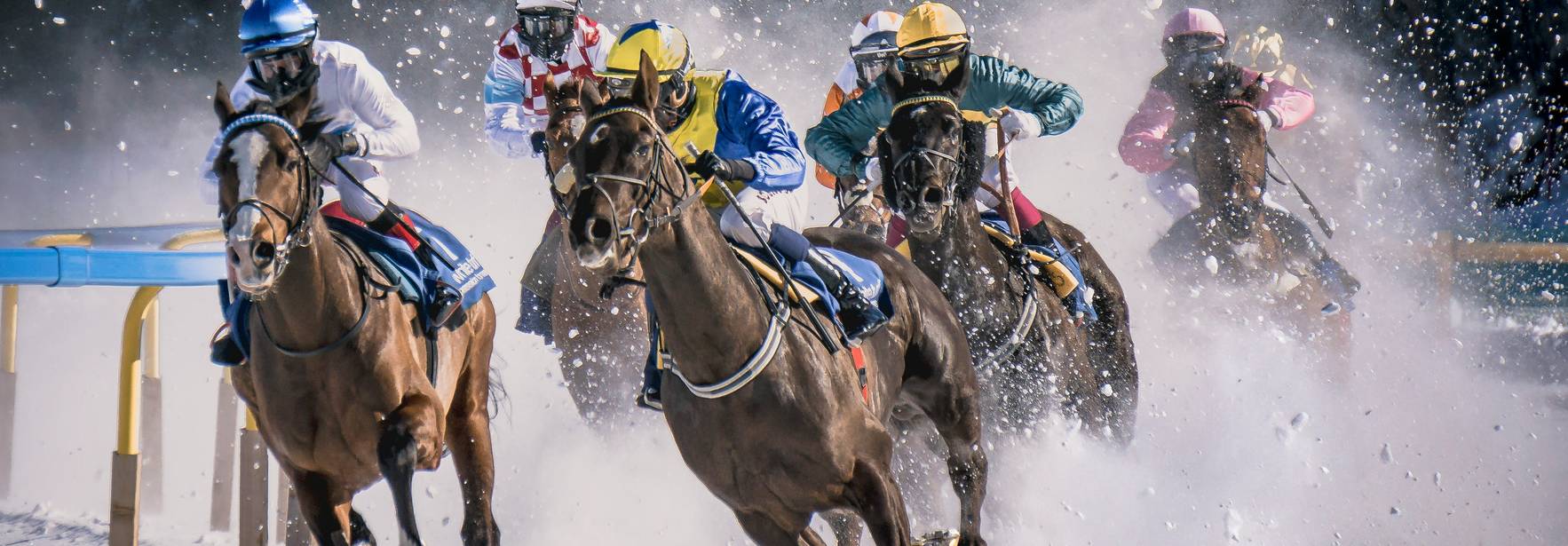 Un grupo de caballos compitiendo en una carrera sobre la nieve.