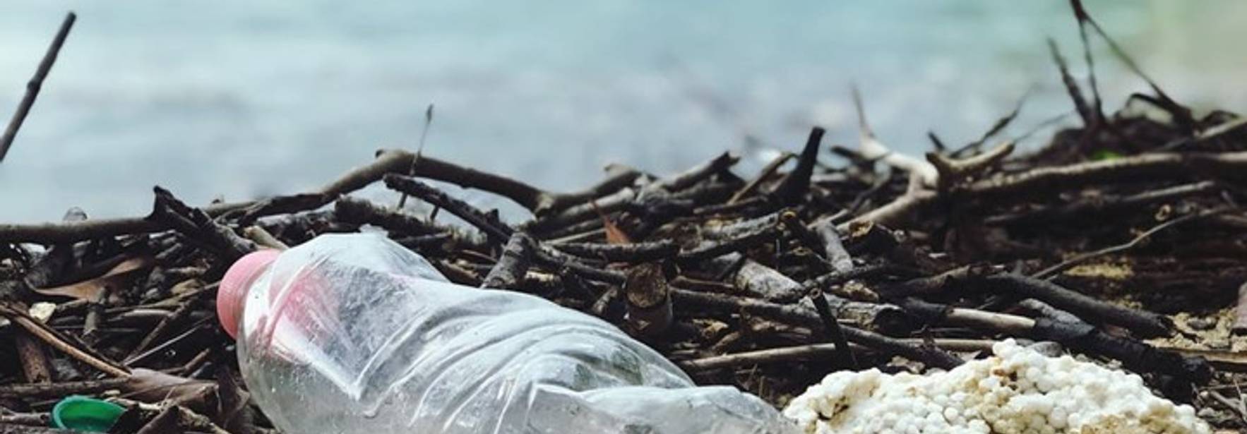 Portugal nos muestra el camino para prevenir el abandono de envases de plástico no reutilizables