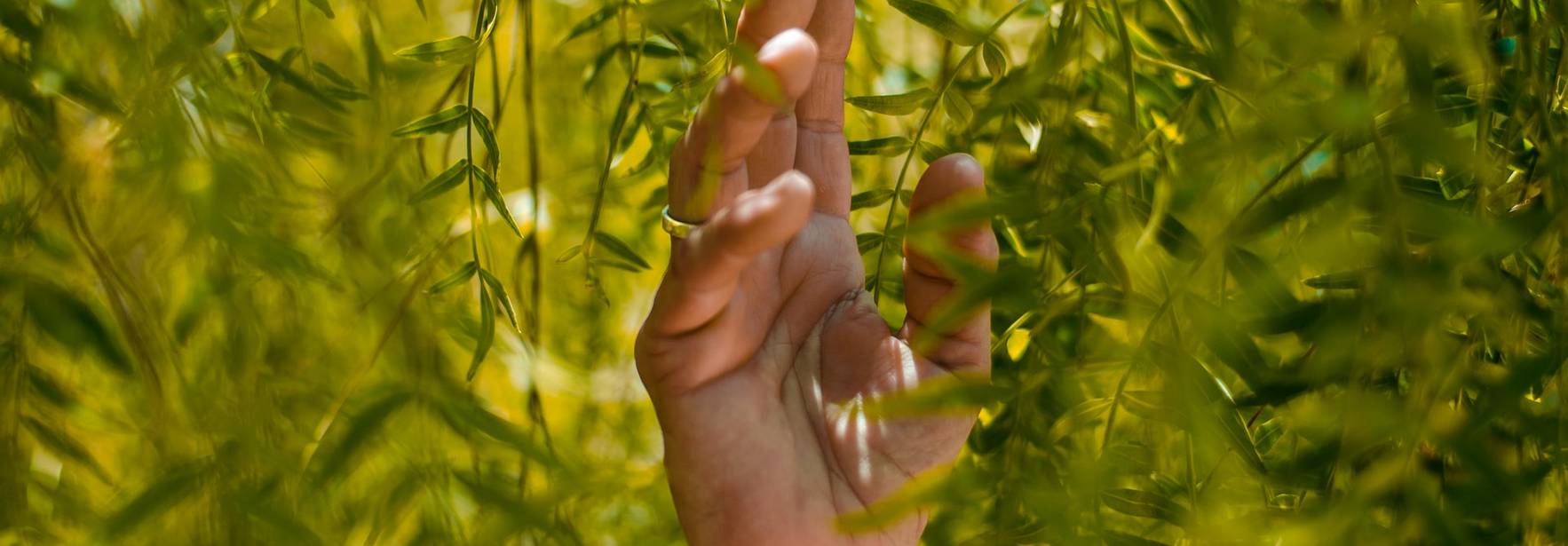 El Proyecto de Ley de prevención de pérdidas y el desperdicio alimentario