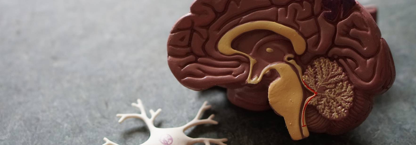 ¿Cómo defender nuestra privacidad e identidad cerebral frente a los riesgos de la neurotecnología?