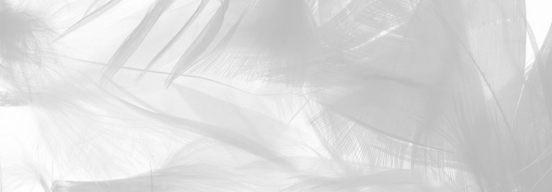 Un fondo abstracto con texturas suaves y transparentes en tonos blancos y grises.