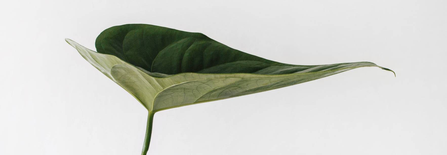Informe: La nueva Directiva de ecodiseño. Objetivos y retos