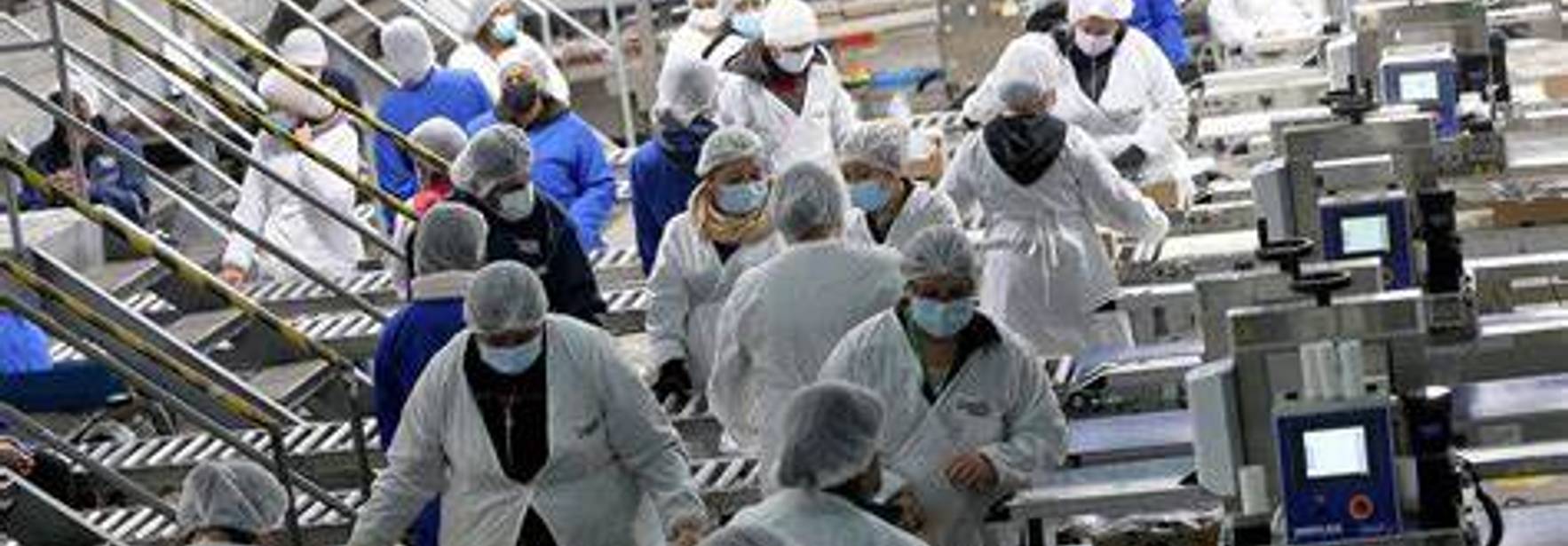Nuevo Decreto Nº44 impone exigencias más rigurosas en la gestión de riesgos laborales
