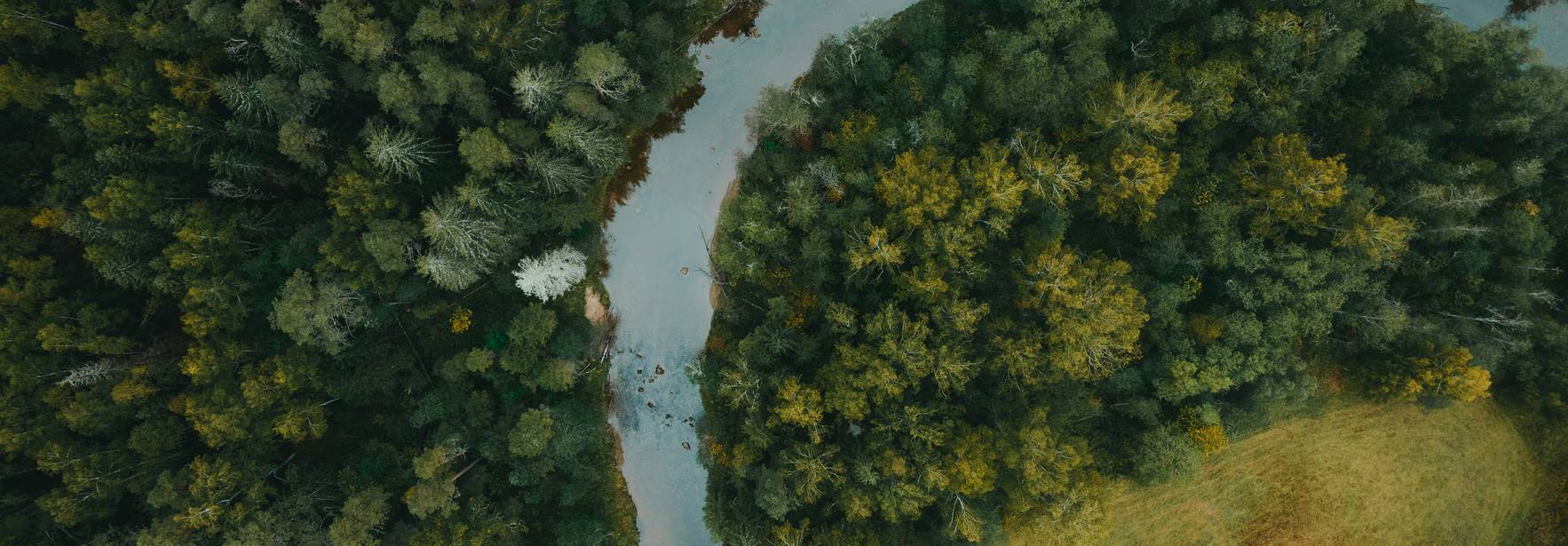 Una vista aérea de un río que fluye entre árboles y una pradera verde.