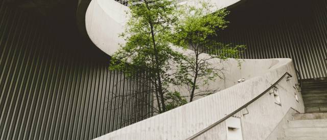 Escalera ascendente con un árbol y un gran ventanal en la parte superior.