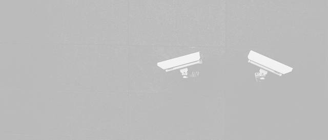 La imagen muestra dos cámaras de seguridad en una pared gris.