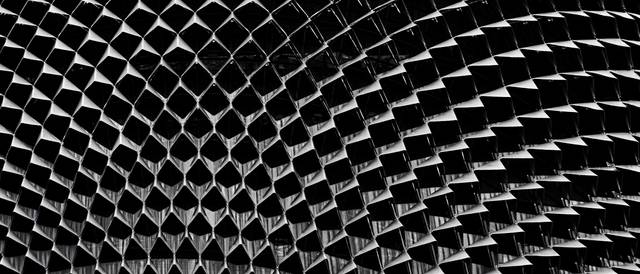 La imagen muestra una estructura arquitectónica con un patrón ondulado en blanco y negro.