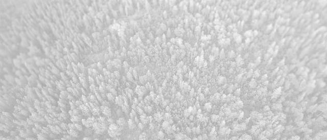 Una vista aérea de un bosque cubierto de nieve.