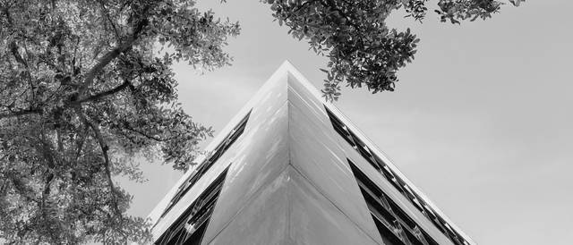 Un edificio moderno visto desde abajo, flanqueado por árboles.