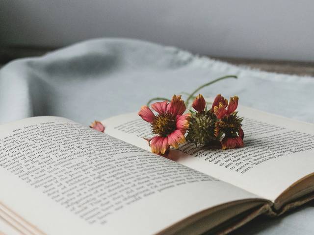 Un libro abierto con flores secas sobre sus páginas.