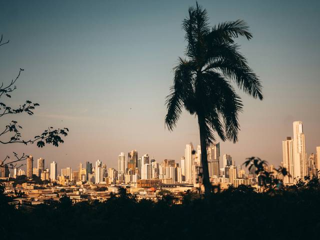 La imagen muestra una vista panorámica de una ciudad moderna al atardecer, con rascacielos y palmeras en primer plano.