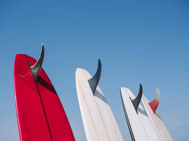 Las tablas de surf se alinean contra un cielo azul claro.