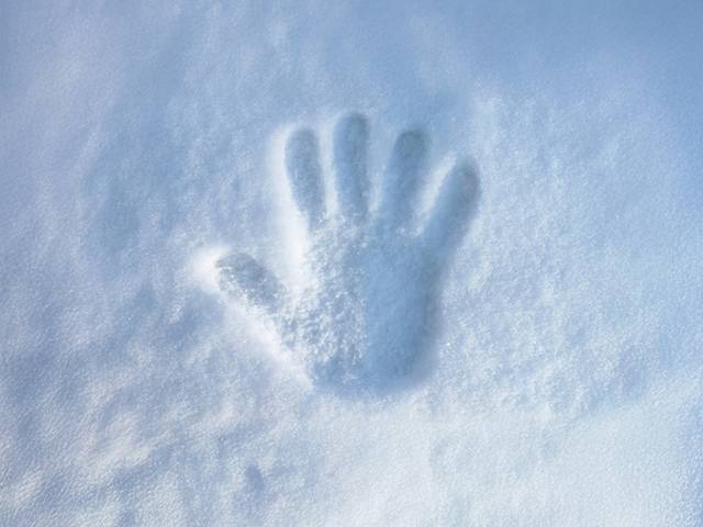 Una mano dejada en la nieve muestra un contraste delicado en un entorno helado.