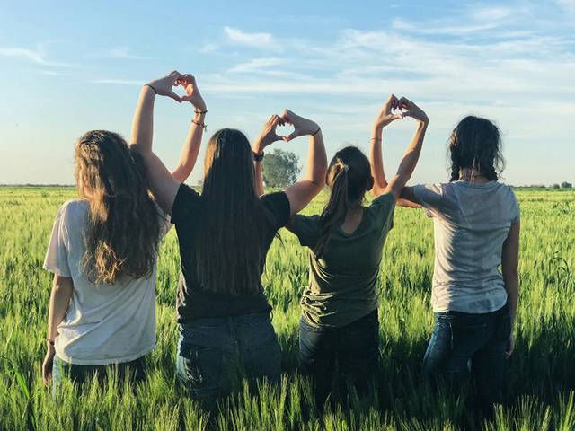Cuatro personas están de espaldas en un campo, formando corazones con sus manos hacia el cielo.