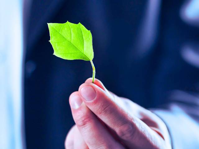 Una mano sostiene una hoja verde en un fondo desenfocado.